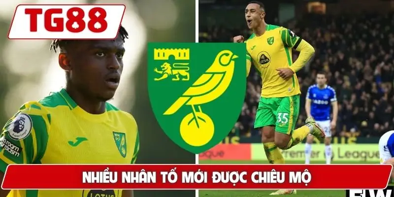 Norwich City: Kèo Cược Và Tin Tức Norwich City Tại TG88 8 Nhiều nhân tố mới được chiêu mộ